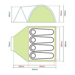 Palapinė Coleman DARWIN 4+ kaina ir informacija | Palapinės | pigu.lt