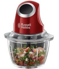 Russell Hobbs 24660-56 kaina ir informacija | Trintuvai, smulkintuvai | pigu.lt