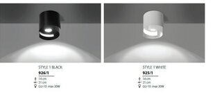 Emibig светильник Style 1 цена и информация | Потолочные светильники | pigu.lt