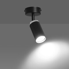 Emibig светильник Hera 1 цена и информация | Потолочные светильники | pigu.lt