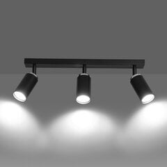 Emibig светильник Hera 3 цена и информация | Потолочные светильники | pigu.lt