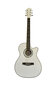FS-4014 WH 40" akustinė gitara, balta kaina ir informacija | Priedai muzikos instrumentams | pigu.lt