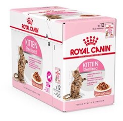 Консервы для стерилизованных кошек ROYAL CANIN, 1 x 85 г цена и информация | Консервы для кошек | pigu.lt