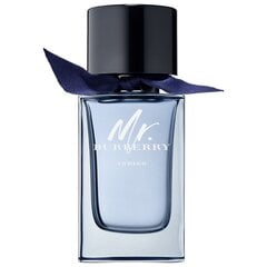 Мужская парфюмерия MR Burberry Indigo Burberry EDT: Емкость - 100 ml цена и информация | Burberry Духи | pigu.lt