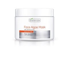 Маска для лица Bielenda Professional Face Algae Mask With Ghassoul Clay, 200 г цена и информация | Маски для лица, патчи для глаз | pigu.lt