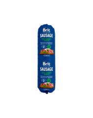 Brit Premium Turkey & Peas колбаса для собак 800г цена и информация | Brit Premium Товары для животных | pigu.lt