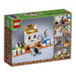 21145 LEGO® Minecraft Kaukolės arena цена и информация | Konstruktoriai ir kaladėlės | pigu.lt