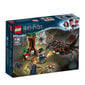 75950 LEGO® Harry Potter Aragogo irštva kaina ir informacija | Konstruktoriai ir kaladėlės | pigu.lt