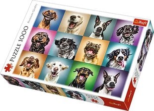Dėlionė "Juokingi šunų portretai" Trefl, 1000 d. kaina ir informacija | Dėlionės (puzzle) | pigu.lt