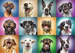 Dėlionė "Juokingi šunų portretai" Trefl, 1000 d. kaina ir informacija | Dėlionės (puzzle) | pigu.lt