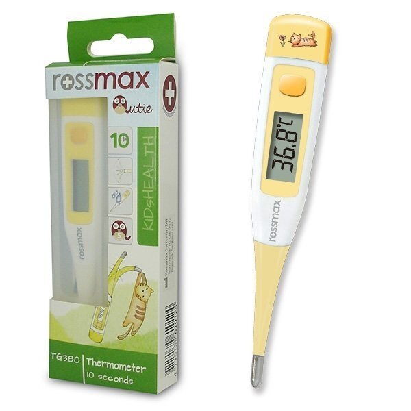 Termometras ROSSMAX TG380Q цена и информация | Termometrai | pigu.lt
