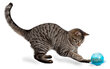 Žaislas nuo nutukimo katėms Žvejukas kaina ir informacija | Žaislai katėms | pigu.lt