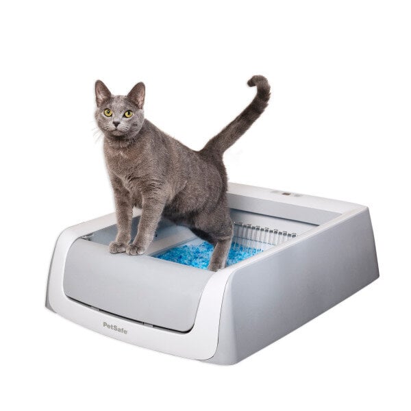 PetSafe automatinis savaime išsivalantis tualetas katėms kaina ir informacija | Kačių tualetai | pigu.lt