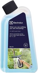 Electrolux Langų plovimo tirpalas EBLC 01, 400 ml kaina ir informacija | Valikliai | pigu.lt