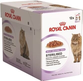 Royal Canin Fhn Wet Sterilised in Jelly katėms, 85 g x 12 цена и информация | Konservai katėms | pigu.lt