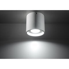 SOLLUX потолочный светильник Orbis White цена и информация | Потолочные светильники | pigu.lt