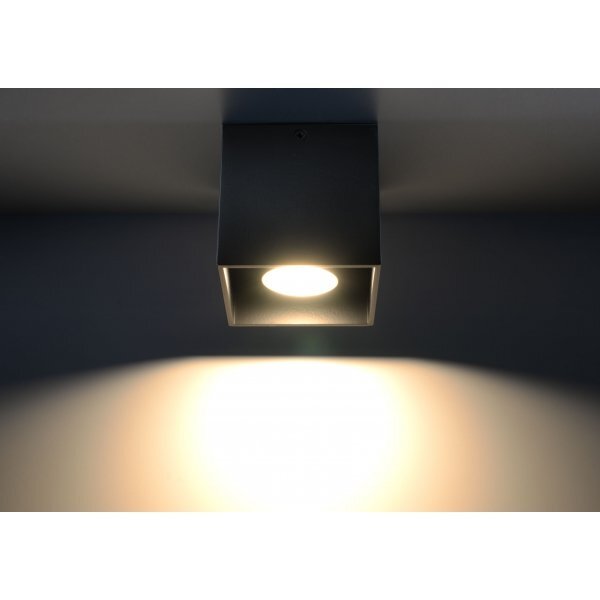 Sollux lubinis šviestuvas Quad kaina ir informacija | Lubiniai šviestuvai | pigu.lt