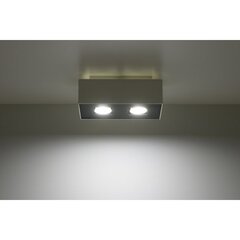 Sollux Lighting lubinis šviestuvas Mono kaina ir informacija | Lubiniai šviestuvai | pigu.lt