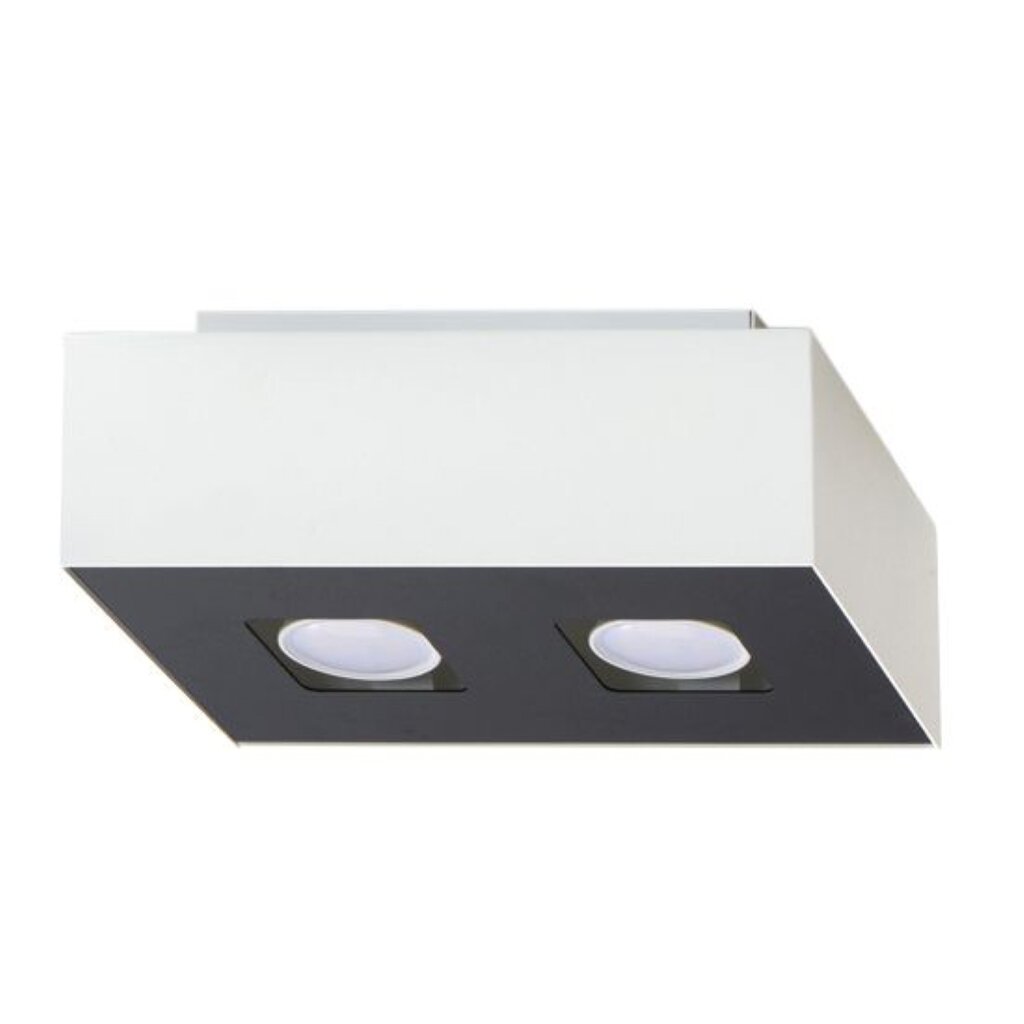 Sollux lubinis šviestuvas Mono 2 kaina ir informacija | Lubiniai šviestuvai | pigu.lt