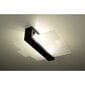 Sollux lubinis šviestuvas Feniks 2 kaina ir informacija | Lubiniai šviestuvai | pigu.lt