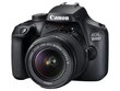 Canon EOS 3000D + EF-S 18-55 III rinkinys kaina ir informacija | Skaitmeniniai fotoaparatai | pigu.lt