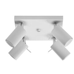 SOLLUX потолочный светильник Ring 4 White цена и информация | Потолочные светильники | pigu.lt