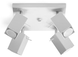 SOLLUX потолочный светильник Merida 4 White цена и информация | Потолочные светильники | pigu.lt