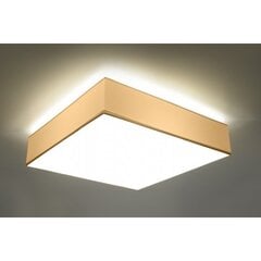 Sollux Lighting lubinis šviestuvas Horus kaina ir informacija | Lubiniai šviestuvai | pigu.lt