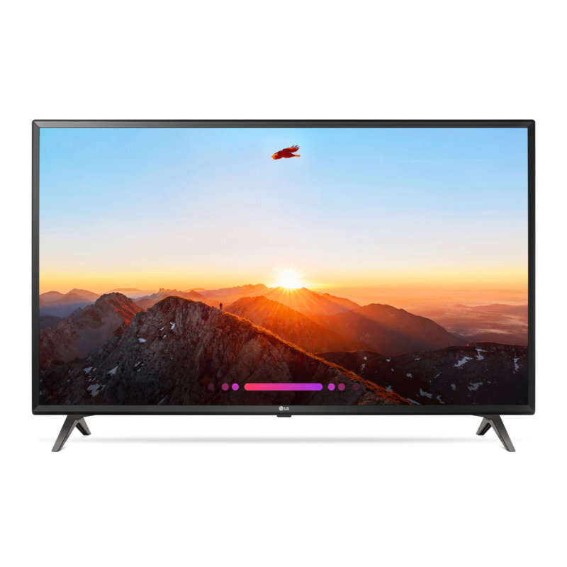 LG 55UK6300MLB kaina ir informacija | Televizoriai | pigu.lt