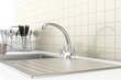 Virtuvinis vandens maišytuvas Rubineta Milano-8 Lux kaina ir informacija | Virtuvės maišytuvai | pigu.lt
