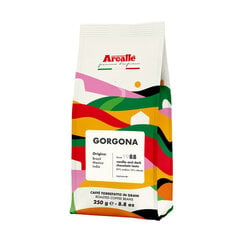 Arcaffe Gorgona malta kava, 250g kaina ir informacija | Kava, kakava | pigu.lt