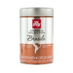 Кофе в зернах illy Arabica Selection Brasile, 250 г цена и информация | Кофе, какао | pigu.lt