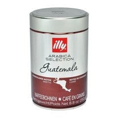 Кофе в зернах illy Arabica Selection Guatemala, 250 г цена и информация | Кофе, какао | pigu.lt