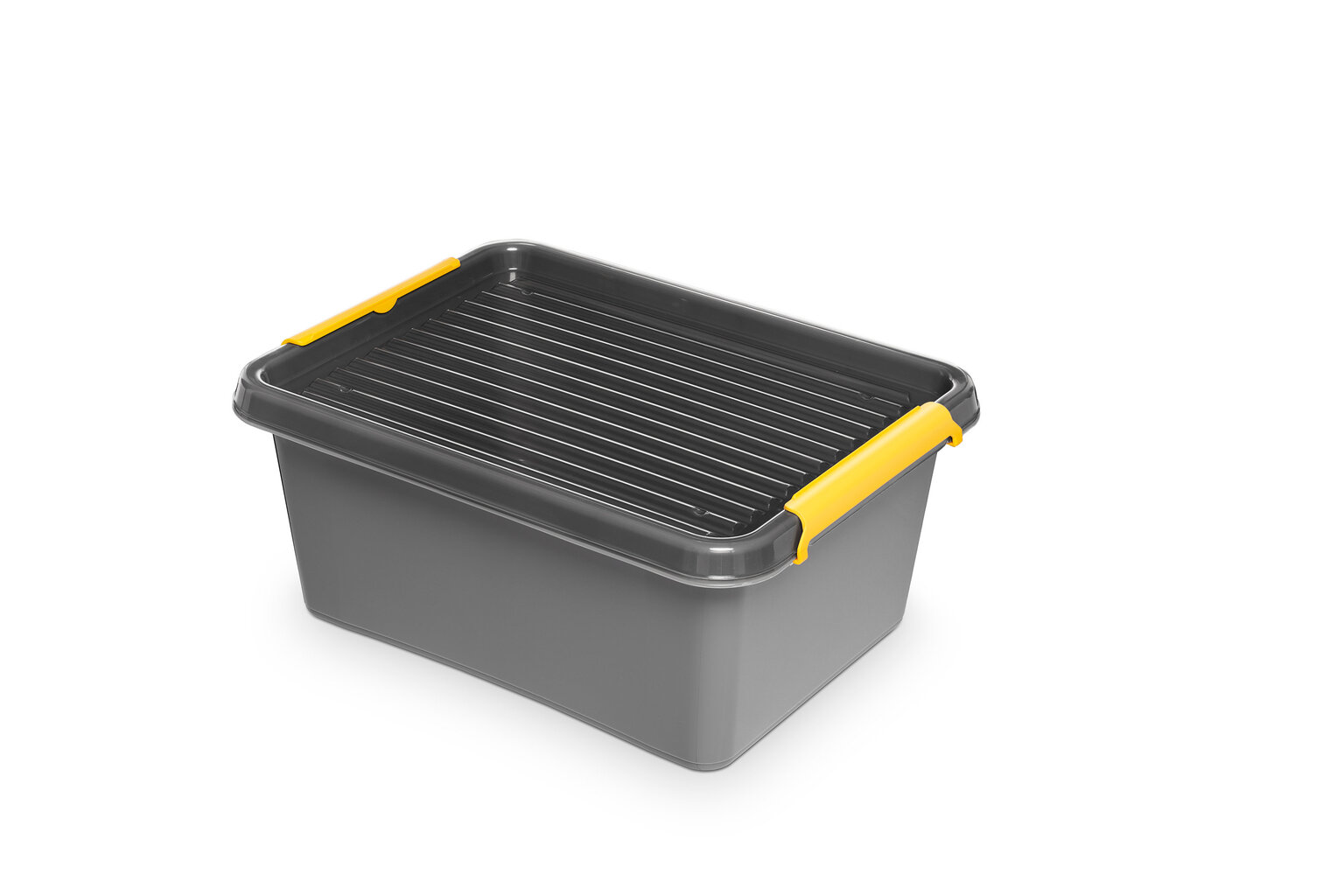 SolidStore dėžė daiktams 12,5 L kaina ir informacija | Daiktadėžės | pigu.lt