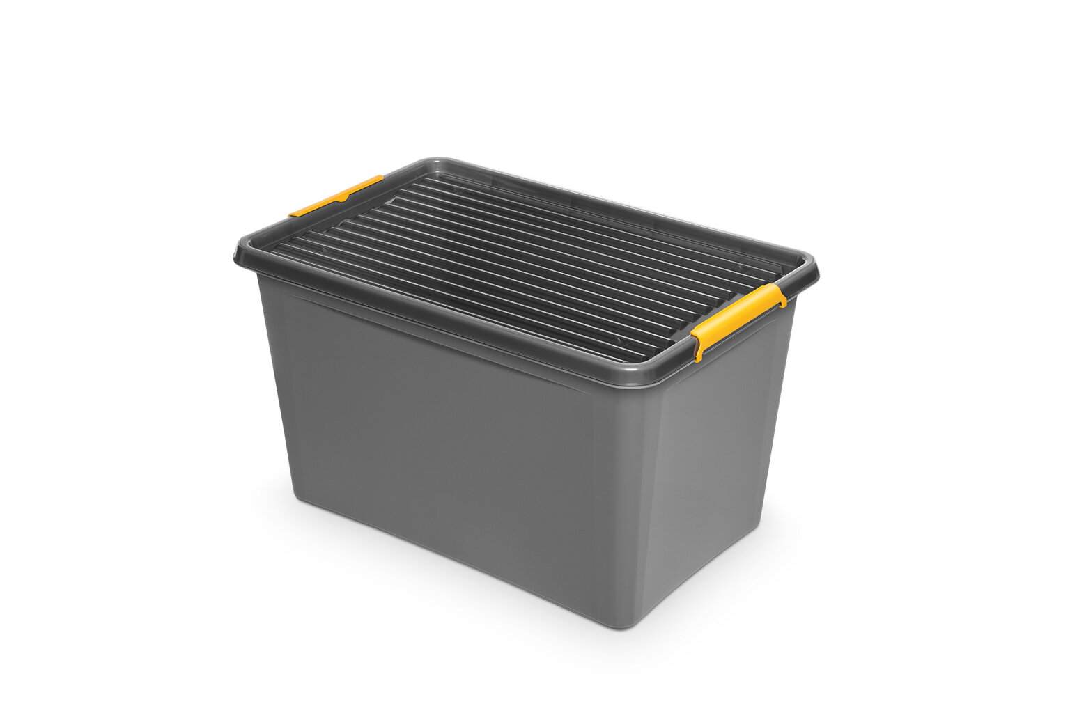 SolidStore dėžė daiktams, 60 L kaina ir informacija | Daiktadėžės | pigu.lt