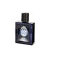 Tualetinis vanduo Omerta Silver Ocean EDT vyrams 100 ml цена и информация | Kvepalai vyrams | pigu.lt