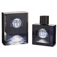 Tualetinis vanduo Omerta Silver Ocean EDT vyrams 100 ml kaina ir informacija | Kvepalai vyrams | pigu.lt