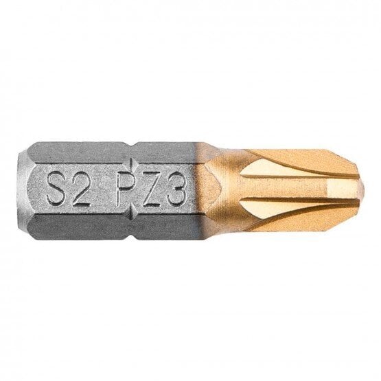 Atsuktuvo antgaliai PZ3 x 25 mm, 2 vnt. kaina ir informacija | Mechaniniai įrankiai | pigu.lt