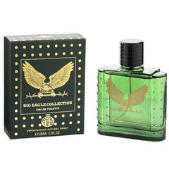 Tualetinis vanduo Real Time Big Eagle Collection Green EDT vyrams 100 ml kaina ir informacija | Kvepalai vyrams | pigu.lt