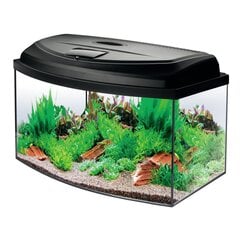 Aqua Szut akvariumo rinkinys Aqua4Start 60 Oval kaina ir informacija | Akvariumai ir jų įranga | pigu.lt