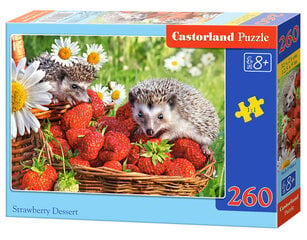 Dėlionė Castorland Strawberry Dessert, 260 det. kaina ir informacija | Dėlionės (puzzle) | pigu.lt