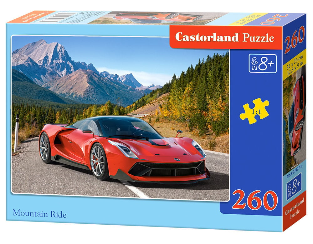 Dėlionė Mountain Ride Castorland, 260 detalių kaina ir informacija | Dėlionės (puzzle) | pigu.lt