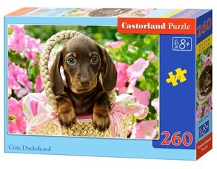 Dėlionė Cute Dachshund Castorland, 260 detalių kaina ir informacija | Dėlionės (puzzle) | pigu.lt