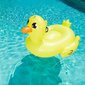 Pripučiamas gultas-plaustas Bestway Supersized Duck Rider, 186x127 cm цена и информация | Pripučiamos ir paplūdimio prekės | pigu.lt