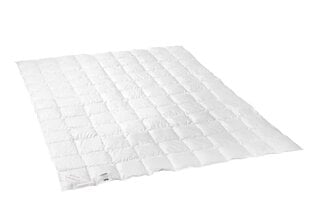 Одеяло Dream, 155x200 см цена и информация | Одеяла | pigu.lt