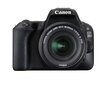 Canon EOS 200D + 18-55mm IS STM, Juoda цена и информация | Skaitmeniniai fotoaparatai | pigu.lt