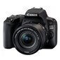 Canon EOS 200D + 18-55mm IS STM, Juoda цена и информация | Skaitmeniniai fotoaparatai | pigu.lt