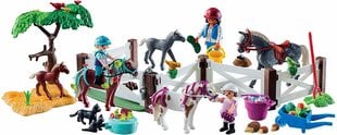 9262 PLAYMOBIL® Адвент-Календарь Животные на ферме цена и информация | Игрушки для мальчиков | pigu.lt