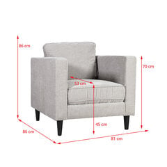 Кресло Spencer, светло-серый цена и информация | Кресла в гостиную | pigu.lt