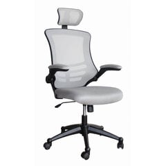 Biuro kėdė Ragusa, pilka kaina ir informacija | Biuro kėdės | pigu.lt